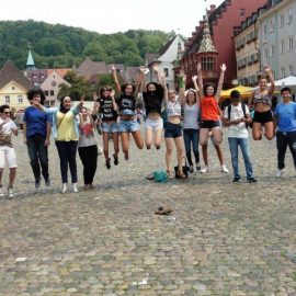 Гёте-институт Фрайбург / Goethe Institut Freiburg