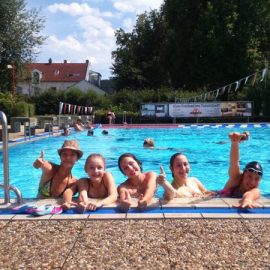phoca_thumb_l_gi_stein_junior-11